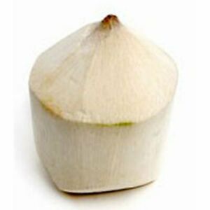 Fresh Thai Young Coconut